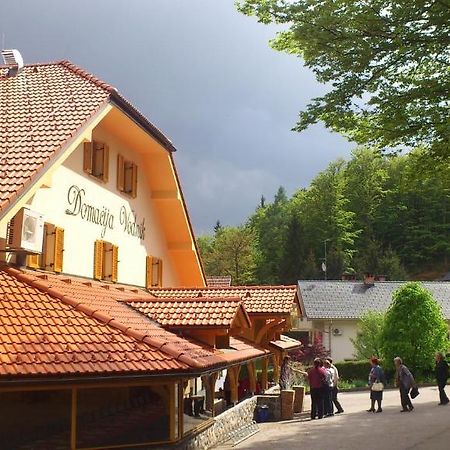 Domacija Vodnik & Apartments Cerklje na Gorenjskem Eksteriør billede